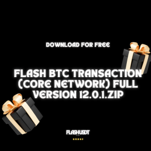 Flash BTC Transaction Core Network
